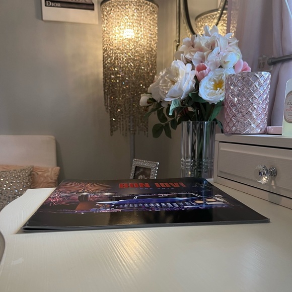 🎸2013 Original Bon Jovi “Because We Can” Concert Tour Program.🎸 - Picture 10 of 13